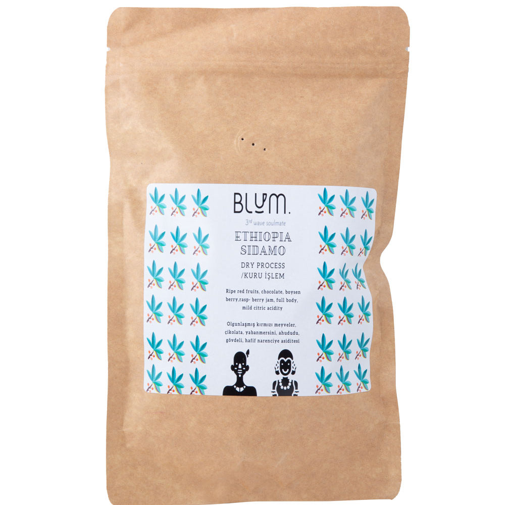 Ethiopia Sidamo