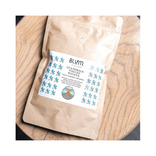 Guatemala Antigua Volcan Pacaya - blumcoffeehouse